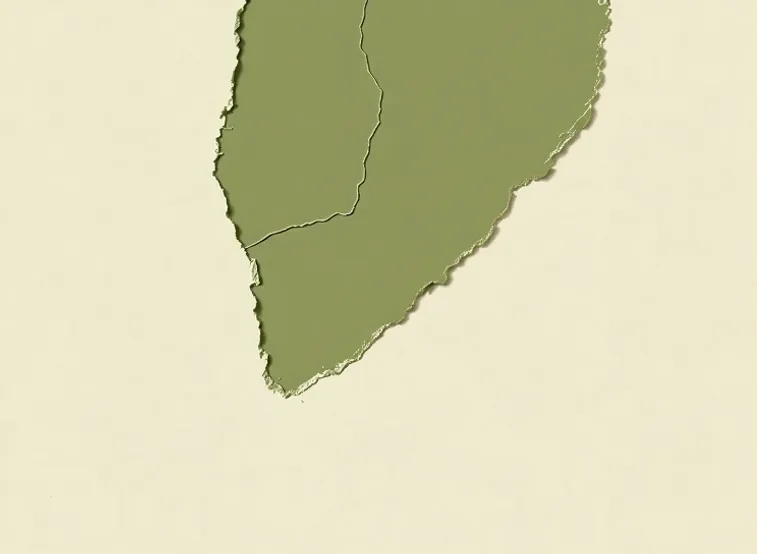 Ponçage et rebouchage des fissures avant mise en peinture